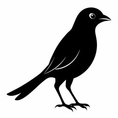 crow on a branch