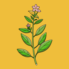 vector illustration of a flower