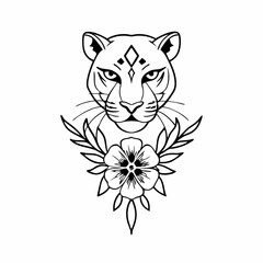 tiger on white background