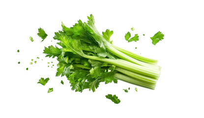 Fresh Green Celery Stalk with Chopped Pieces