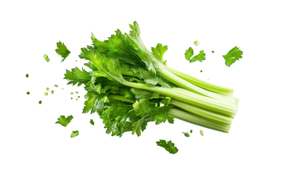 Fresh Green Celery Stalk with Chopped Pieces