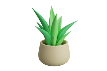 aloe vera plant in a pot