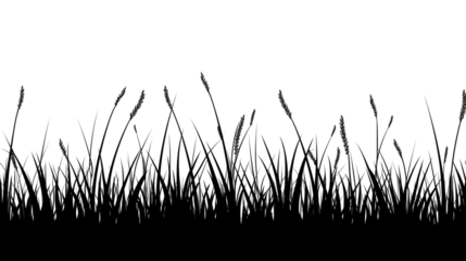 Silhouette of Tall Grass at Sunset for Backgrounds Websites and Design Projects