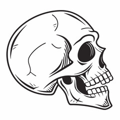 Fototapeta premium human skull vector illustration