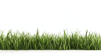 Fototapeta premium Vibrant Green Grass Line Against White Background