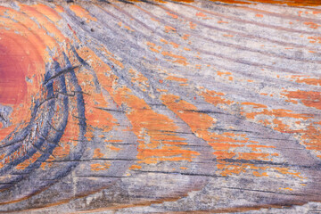 Obraz premium Closeup on a old wooden plank
