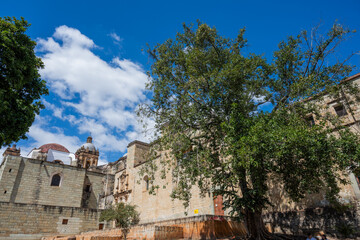 Templo de Santo Domingo de Guzmán en el centro de Oaxaca méxico, iglesia rodeada de agaves para destilar mezcal