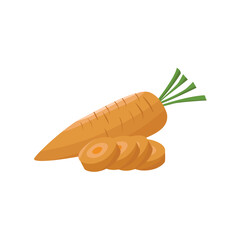 Carrot vegetable illustration isolated on white