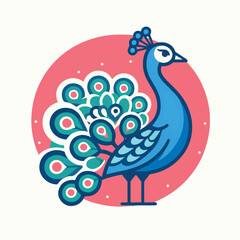 vector image of beautiful peacock