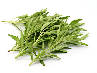 Fototapeta premium Fresh Green Sage Leaves on White Background