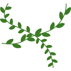 Obraz premium Vines Leaf Plant