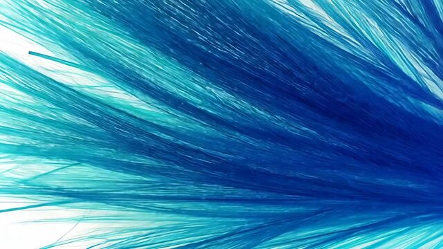 Blue strands, initially concentrated, gradually expand and fill the frame against a white background, creating an abstract visual progression