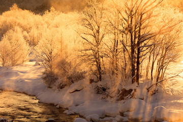 winter landscape with frost trees and river