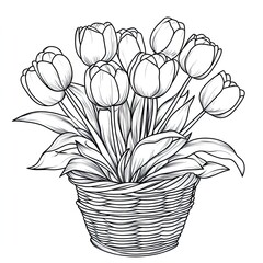 Charming Tulip Bouquet in Basket Simple Coloring Page Design