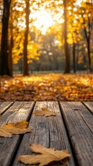 Sunlight streams through trees adorned with vibrant, golden leaves, illuminating a rustic wooden pathway covered in fallen foliage. This serene forest scene captures autumn's essence
