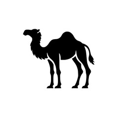 Fototapeta premium Dromedary Silhouette: A strong and elegant silhouette of a dromedary camel, standing majestically against a clean background. Perfect for logo, icon, or design elements. 