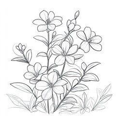 Fototapeta premium Simple Winter Jasmine Coloring Page Blooming in Cold Weather