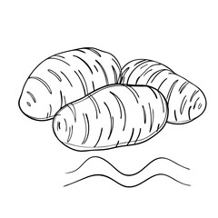 Hand-Drawn Potato Sketch Vector Illustration