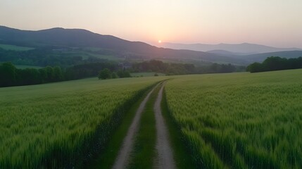 Obraz premium Sunset over Green Wheat Field and Mountains