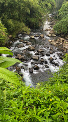 Crystal-clear river flowing through a tropical forest in Indonesia, captured on February 4, 2025. The pristine water and lush greenery create a serene natural scene