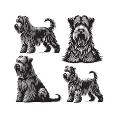 Briard Dog Silhouette - Minimalist Dog Design - Briard Dog Vector - Illustration of Briard Dog.