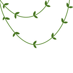 Vines Leaf Plant