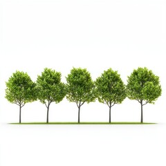 Obraz premium Five Green Trees Row Nature Scene 3d art isolated on transparent background