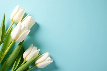 Naklejka premium Delicate white tulips scattered across a soothing blue surface, arrangement, petals