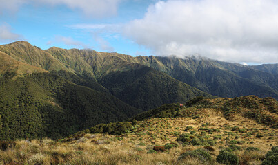 A traditional mountain hut in Tararua Forest Park in New Zealand