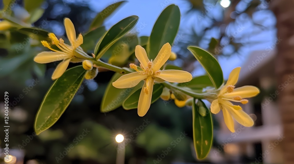 Sticker Closeup of Delicate Yellow Flowers on Branch at Dusk