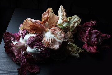 Natura morta; composizione con radicchi rossi e rosa su fondo scuro