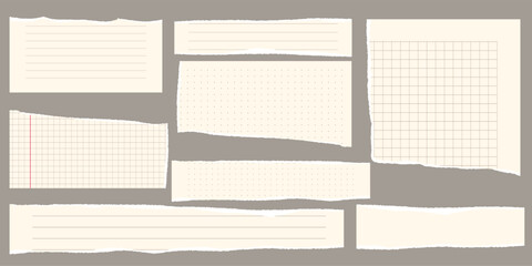 Paper scraps. Torn pieces of paper, with torn edges for notes, realistic torn pieces of blank note pages. Vector illustration isolated