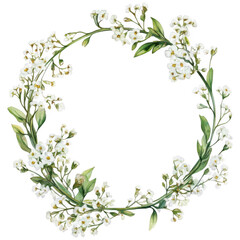 Sweet Alyssum Flower Clipart Vector Illustration, Floral Design, Elegant