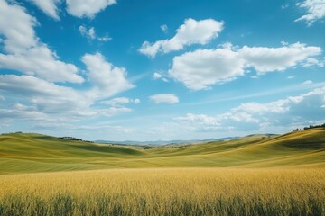 Fototapeta premium A serene landscape showcasing rolling hills, golden fields, and a bright blue sky adorned with fluffy clouds.