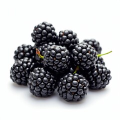 Hyper-Realistic Blackberry Illustration