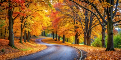 Fototapeta premium Autumn leaves on winding road in park, park scenery, outdoor scenery, park scenery