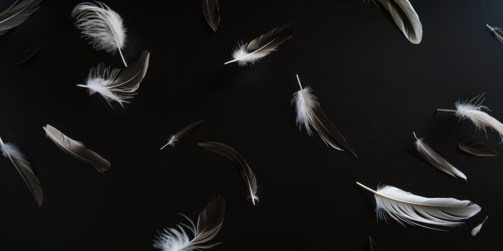 A stark black background with minimalist, floating feathers, Asymmetrical and delicate arrangement