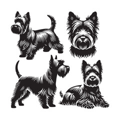 Cairn Terrier Dog Silhouette - Minimalist Cairn Terrier  Dog Vector - Illustration of Cairn Terrier.