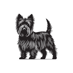 Cairn Terrier Dog Silhouette - Minimalist Cairn Terrier  Dog Vector - Illustration of Cairn Terrier.