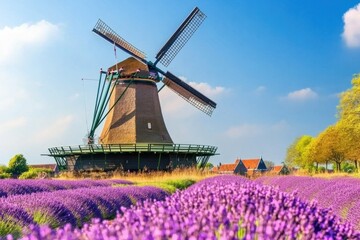 Panoramic View of a Rural European Landscape Featuring a Windmill Surrounded by Vibrant Lavender Fields Under Bright Daylight in the Distance