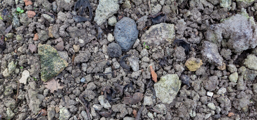 Rough Grainy Soil Texture with Small Gravel Stones