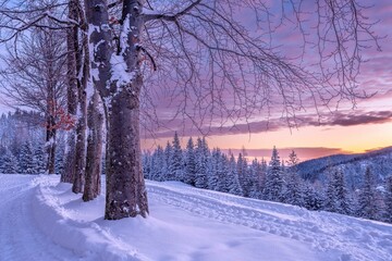 Tatry: Polana Kalatówki w mroźny, zimowy poranek przed wschodem słońca © Michal45