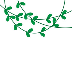 Vines Leaf Plant