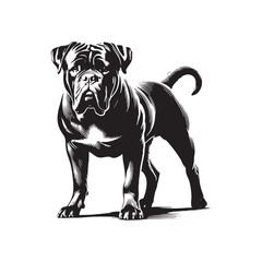Cane Corso Dog Silhouette - Vector of Cane Corso Dog - Illustration of Cane Corso dog.