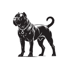 Cane Corso Dog Silhouette - Vector of Cane Corso Dog - Illustration of Cane Corso dog.