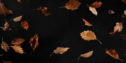 A stark black canvas with clean, minimalist falling leaves, Random and delicate design