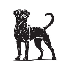 Cane Corso Dog Silhouette - Vector of Cane Corso Dog - Illustration of Cane Corso dog.
