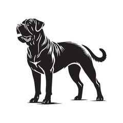 Obraz premium Cane Corso Dog Silhouette - Vector of Cane Corso Dog - Illustration of Cane Corso dog.