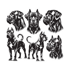 Cane Corso Dog Silhouette - Vector of Cane Corso Dog - Illustration of Cane Corso dog.