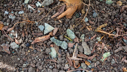 Rough Grainy Soil Texture with Small Gravel Stones